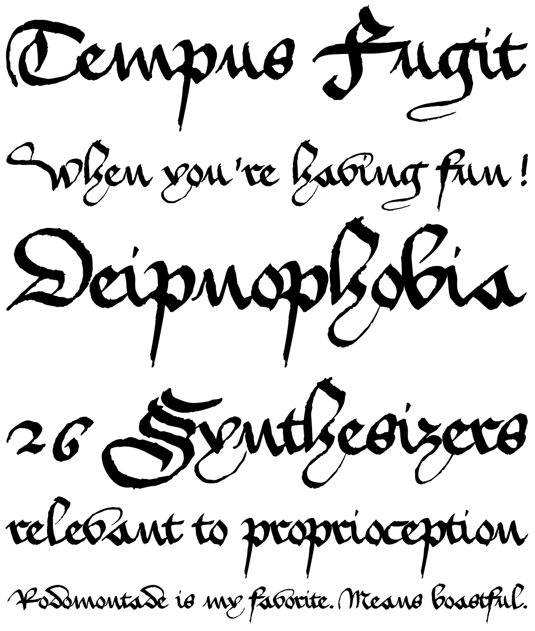 Medieval Old Script Font English Gothic 17th C Font Medieval Font