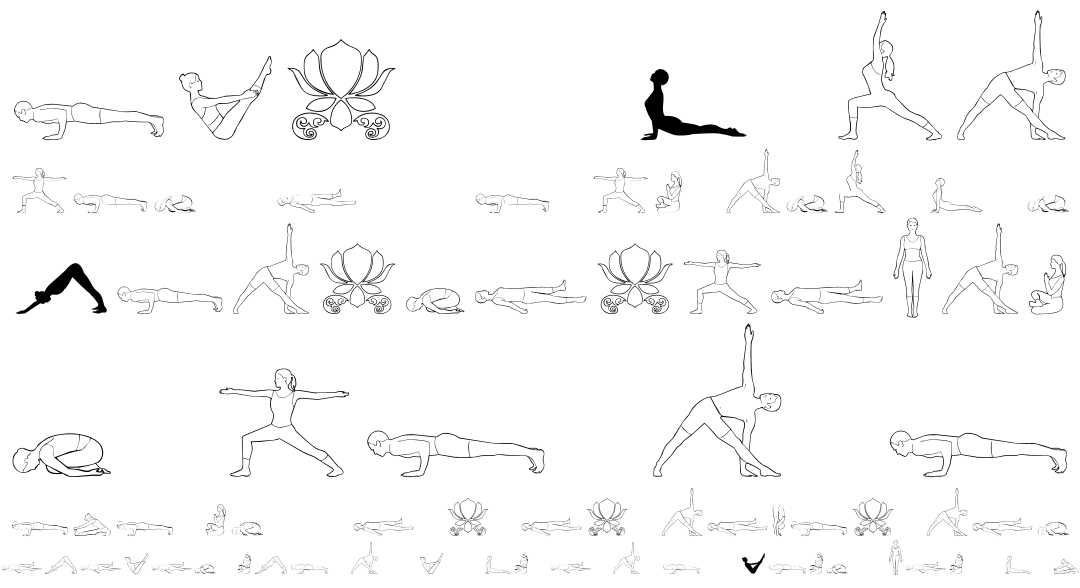 Yoga Studio Fonts